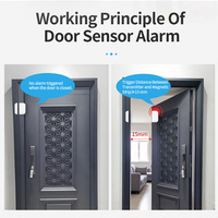 Sensor de Puerta y Ventana Tuya, Dispositivo de Alerta de Seguridad para el Hogar Inteligente, Control por Aplicación, Funciona con Batería, Plástico