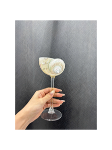 Verres à vin élégants en forme d'escargot avec coquilles polies, verres à martini en coquille d'escargot naturelle : verrerie magnifiquement conçue, vente en gros - Product Image 1