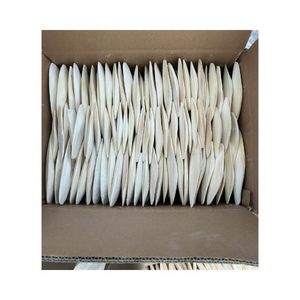 ขายดี! กระดูกปลาหมึกแท้ ปลอดภัย บริสุทธิ์ เหมาะสำหรับนกแก้วใช้เป็นของเล่นลับปาก และให้อาหารเสริมแคลเซียมสำหรับสัตว์เลื้อยคลานทุกวัน - Product Image 5