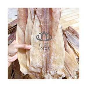 CALAMAR SECO EN ROLLOS 2026, EN OFERTA, PARA UN DELICIOSO SNACK O PARA COCINAR SOPAS, MARISCOS FRESCOS, LIMPIOS Y SEGUROS, CALIDAD DE EXPORTACIÓN - Product Image 1