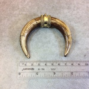 Natural Buffalo Horn bone Pendant With Gold Tone Caps Polished Curved Shape <b>locket</b> brown - Product Image 5