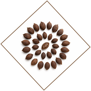 Hot Sale Special Offer Tasty International Standard Vietnam Manufacturer Supply Black Cardamom Bulk Supply - Product Image 5