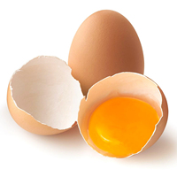 Œufs de poule brune frais de première qualité, origine Royaume-Uni, prix compétitifs, vente en gros, durée de conservation de 2 ans, directement de l'usine