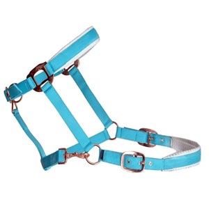 Cómodo y Duradero Halter de Cuerda de Nailon con Patrón Azul Turquesa y Coral, Herrajes de Latón Ajustables - Product Image 1