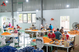 มีดโกนหนวดแบบใช้แล้วทิ้งสำหรับผู้ชายและผู้หญิงด้ามจับพลาสติกเพื่อความปลอดภัยสีสวยใส - Product Image 5