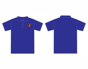 Polos en polyester 100 de haute qualité - Product Image 1