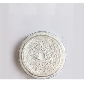 Fósforo Soluble en Citrato, Fósforo Disponible, Fosfato Dicálcico Anhidro - Product Image 2