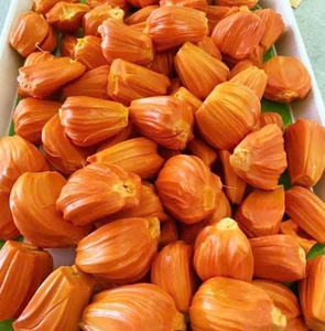 สินค้าขายดี - ขนุนแช่แข็งเกรดพรีเมียมสำหรับส่งออก - Product Image 4