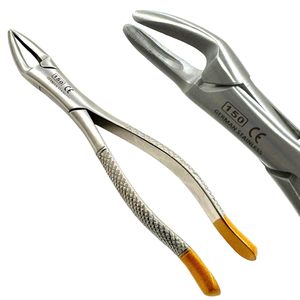 Forceps dentaires à dents crantées pour extraction # 150, pour incisives maxillaires, canines, prémolaires et racines, manche en or de qualité supérieure - Product Image 6