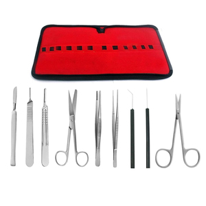 Ensemble d'instruments chirurgicaux dentaires professionnels en acier inoxydable, couleur argent, kit de 9 pièces - Product Image 5