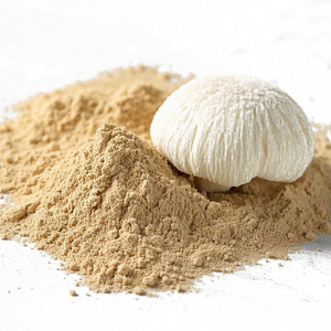 Poudre d'extrait de crinière de lion 100% naturelle, qualité supérieure, qualité alimentaire, soutient le système immunitaire - Product Image 2