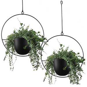 Pots à fleurs muraux circulaires modernes en métal noir pour plantes d'intérieur, design minimaliste, lot de 3 - Product Image 5