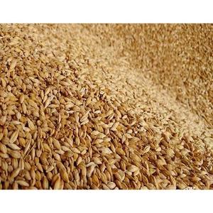 Cereali Biologici AD Barley Breakfast Product: Fiocchi e Mix Energetici per l'Esportazione a Prezzo Economico - Product Image 5