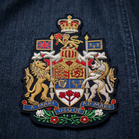 Écusson de blason brodé personnalisé en dentelle, à coudre, en tissu, forme irrégulière, design classique pour l'art vestimentaire N° 061