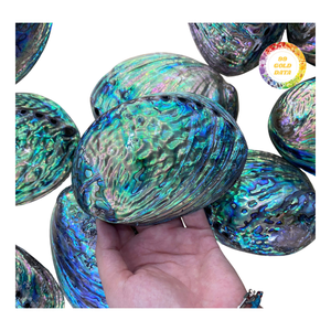 Decorative Green <b>Abalone</b> <b>Shell</b> Smooth Surface - Product Image 3
