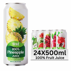 Boisson 100% Jus 500ml Sans Sucre Avec Pulpe, OEM ODM Marque Privée, Fabricant de Boissons Vietnam - Product Image 1