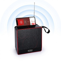 Haut-parleur portable LN816BaBa avec antenne télescopique, radio FM, mini enceinte sans fil, son puissant, prise en charge USB TF, vente en gros
