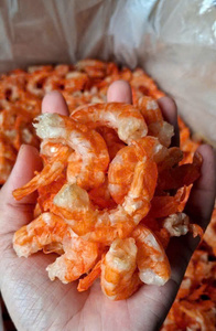 กุ้งแห้งธรรมชาติเวียดนาม ผลิตภัณฑ์อาหารทะเลแห้งคุณภาพพรีเมียม สำหรับผู้นำเข้าขายส่ง ผู้ผลิตอาหาร และผู้ค้าปลีก - Product Image 6