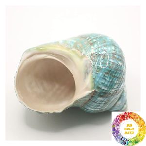 เปลือกหอยมุกสีรุ้งธรรมชาติ ขนาด 4.5-5 ซม. 9-10 ซม. สำหรับงานฝีมือ DIY ศิลปะ และตกแต่งบ้าน - Product Image 1