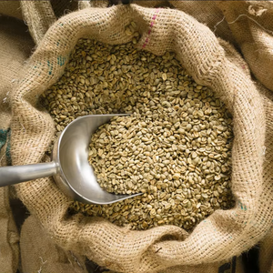 Organic Vietnam Arabica Specialty Coffee <b>Beans</b> ISO 22000 Certified Size 18 Grade AA+ High Quality USDA Certified Low Defect - Product Image 1