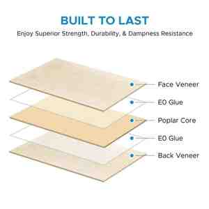 Contrachapado Fenólico Grado DD del Fabricante, Material de Construcción con Chapa de Abedul, Venta Caliente, Directo de Fábrica en Vietnam - Product Image 3