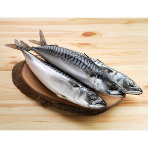 ปลาแมคเคอเรลแช่แข็ง อาหารทะเล - Product Image 6