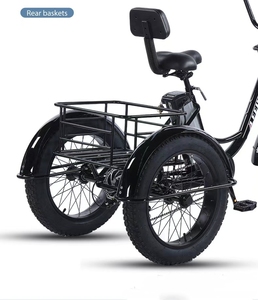 Tricycle électrique cargo à assistance au pédalage, pneus neige 20 pouces, batterie lithium 48V, moteur sans balais, frein à disque, 7 vitesses, cadre en acier, moyeu arrière - Product Image 4