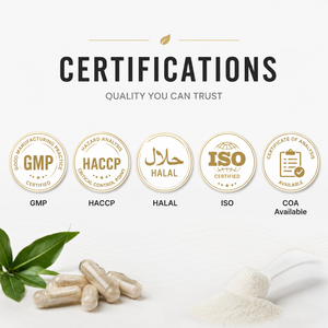 Premium <b>Creatine</b> <b>Monohydrate</b> Capsules Private Label OEM ODM Manufacturer Bulk Supply GMP Certified Export Quality - Product Image 2