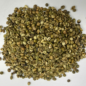 Granos de Café Verde Robusta, Procesamiento Limpio de la Región de Dak Lak, Vietnam, Robusta Verde 100% Puro, Personalización OEM - Product Image 4
