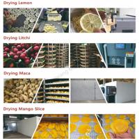 Déshydrateur automatique à pompe à chaleur grande capacité pour fleurs, épices, viande et production de saucisses
