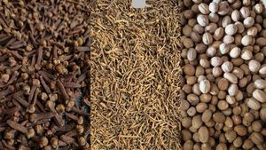 Clous de girofle séchés d'Indonésie, tiges de clou de girofle, piment de laurier AD, origine Sulawesi Indonésie, vente en gros par conteneur complet, exportation - Product Image 5
