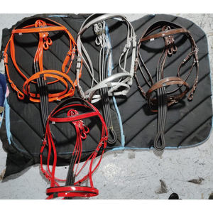 SE VENDEN BRIDAS DE CORREAS DE PVC, brida decorativa DE CABALLO COLOR GRIS CON ACCESORIOS A PRUEBA DE ÓXIDO EN DÓLARES 8 - Product Image 5