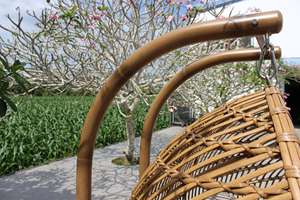 Outdoor HDPE Rattan Hanging Chair <b>for</b> 2 People with Quick-Dry Cushions Sturdy <b>Frame</b> 3-Year Warranty - Product Image 3