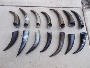 Paire de cornes de bison polies pour décoration murale, design Art Déco écologique, grandes tailles 10 et 18 pouces, pour mariage, anniversaire, Nouvel An, nouveauté - Product Image 5