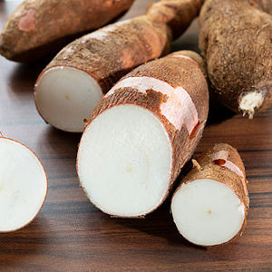 Gia Nguyen เศษมันสำปะหลังและเศษมันสำปะหลังผงข้าวโพดสีเหลืองสำหรับเครื่องให้อาหารสัตว์จากเวียดนามขายส่ง - Product Image 4