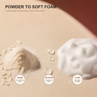 Poudre Nettoyante Exfoliante Éclaircissante au Filtrat de Ferment de Riz et Céramide, Acide Ascorbique 50g - Marque Privée OEM pour Tous Types de Peau