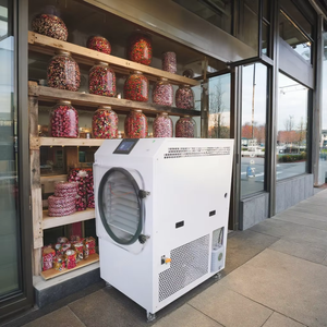 <b>Small</b> <b>Dryer</b> Dry lab freeze drying machine - Product Image 6