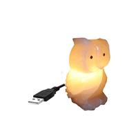Lampe de Sel de Pierre Naturelle de l'Himalaya Sculptée à la Main, Mini USB avec Base en Bois, Écologique, Qualité Supérieure, Export, Veilleuse Feng Shui