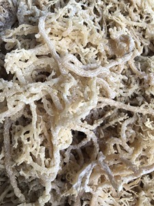 สาหร่ายโนริอบแห้งแบบขายส่งจำนวนมากในถุงสำหรับส่งออก - Product Image 1