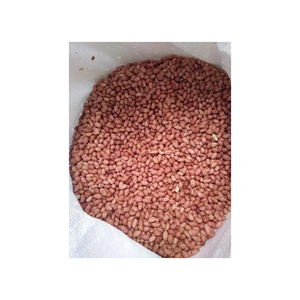 ถั่วลิสงสดใหม่บรรจุสำหรับการจัดจำหน่ายอาหารเชิงพาณิชย์ - Product Image 1