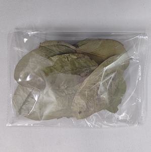 Feuilles de Goyave Indienne Séchées (Psidium Guajava) en Gros pour Poissons Betta et Crevettes – Accessoires d'Aquarium, Feuilles Médicinales Saines et Herbacées - Product Image 4