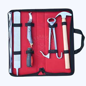Juego de herramientas profesionales para herrador: Martillo para clavos, alicates para recortar pezuñas de potro, cuchillo para pezuñas con punta de latón y lima de acabado. - Product Image 1