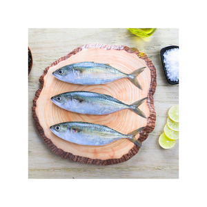 Pescado macarela fresco cuidadosamente seleccionado para los mercados minoristas y de servicios de alimentos - Product Image 1