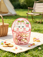 Sachets d'emballage irréguliers imprimés motif dessin animé, anti-humidité, refermables, en Mylar, vente en gros pour biscuits, pique-niques, collations et petits cadeaux