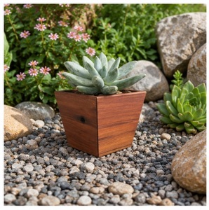 Modern Square Wooden Succulent <b>Planter</b> <b>Box</b> Natural Wood Flower Pot for Desktop Home Office Decor Indoor Cactus Garden Ornament - Product Image 2