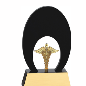 Angel Of Healing Trophy Premium Wooden Healthcare Award Medical Achievement Trophy For Doctors Nurses And Healthcare Providers - Product Image 3