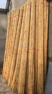 Vara de bambú natural de Tonkin de 60 cm, recta, seca, mini palo de bambú para soporte de plantas de jardín, materia prima para manualidades DIY. - Product Image 5