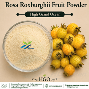 Poudre de fruit de Rosa Roxburghii (qualité alimentaire) séchée par pulvérisation ou lyophilisée, fournie directement par l'usine HGO - Product Image 1