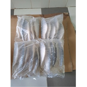 ปลาแช่แข็ง IQF ขนาด 10-12 ซม. เกรด A/B บรรจุภัณฑ์แบบขายส่ง อายุการเก็บรักษา 24 เดือน อาหารทะเลเวียดนาม ปลาปังกัสอิอุสแบบมีหนัง - Product Image 3