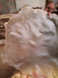 Peau de chèvre 12" 10" 14" 16" 18" 20" 22" 24" 26" 28" 30" 32" 34" 36" pour tête de batterie VELLUM Native Rare personnalisée, en gros - Product Image 4